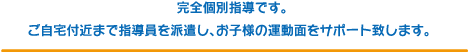 完全個別指導です。ご自宅付近まで指導員を派遣し、お子様の運動面をサポート致します。